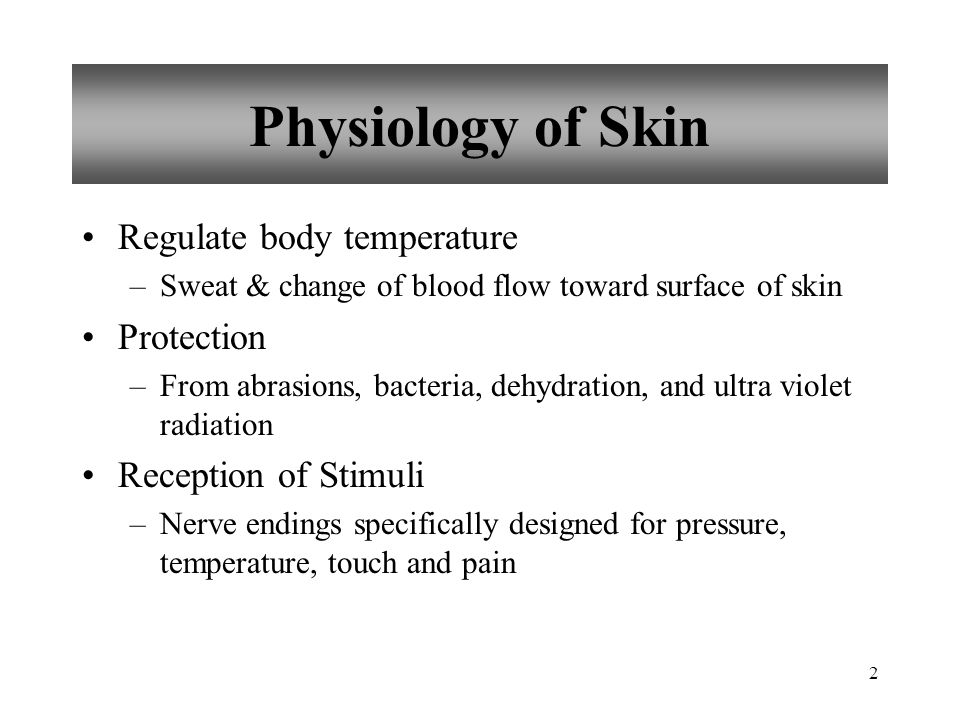 Chapter 6 Skin and the Integumentary System - PowerPoint PPT Presentation